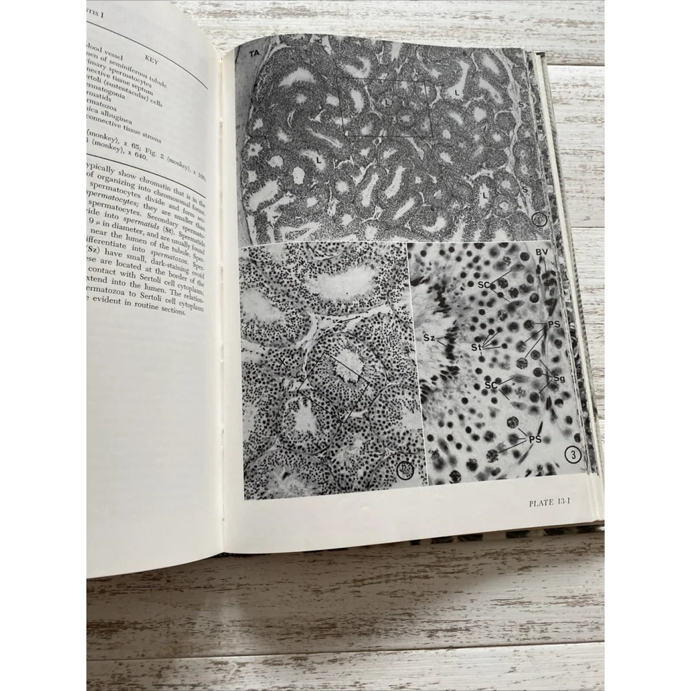 Vintage Histology Atlas 1970 Medical Textbook Hardcover Reith Ross 2nd Edition